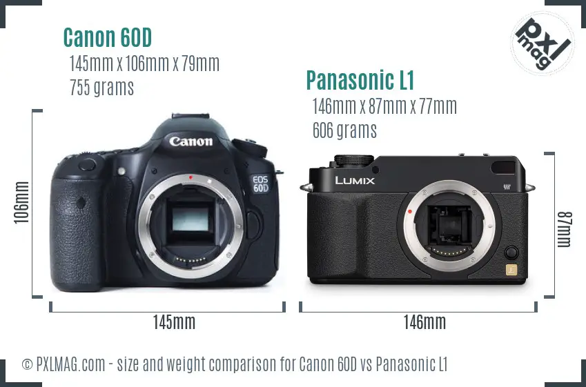 Canon 60D vs Panasonic L1 size comparison