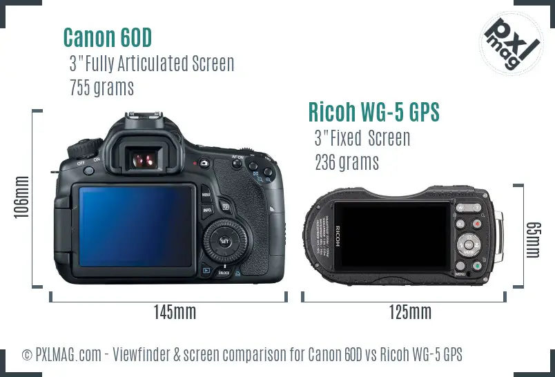 Canon 60D vs Ricoh WG-5 GPS Screen and Viewfinder comparison Canon 60D vs Ricoh WG-5 GPS Screen and Viewfinder comparison