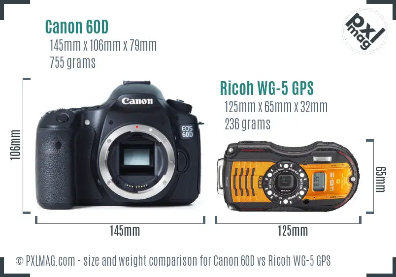 Canon 60D vs Ricoh WG-5 GPS size comparison Canon 60D vs Ricoh WG-5 GPS size comparison