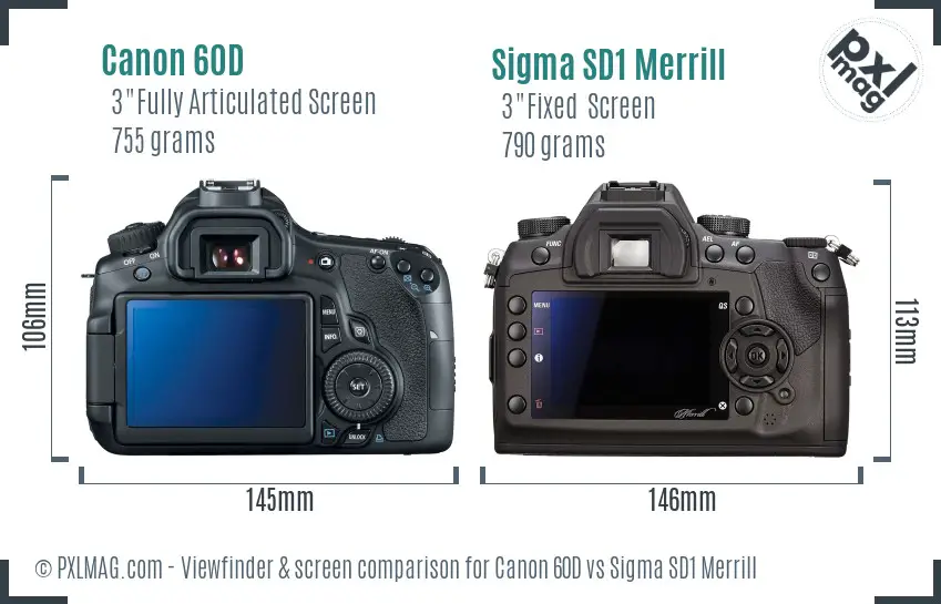 Canon 60D vs Sigma SD1 Merrill Screen and Viewfinder comparison