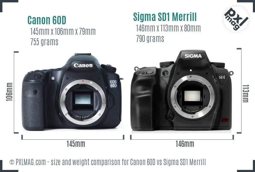 Canon 60D vs Sigma SD1 Merrill size comparison