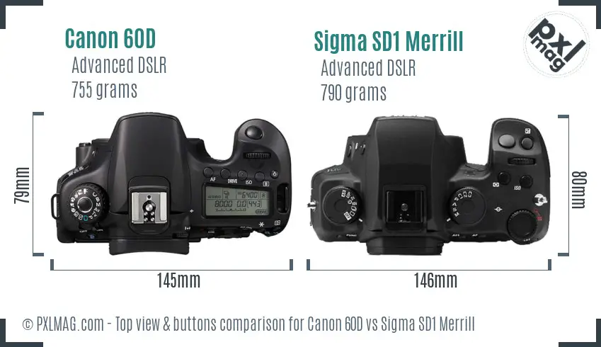 Canon 60D vs Sigma SD1 Merrill top view buttons comparison