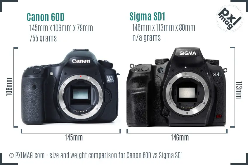 Canon 60D vs Sigma SD1 size comparison