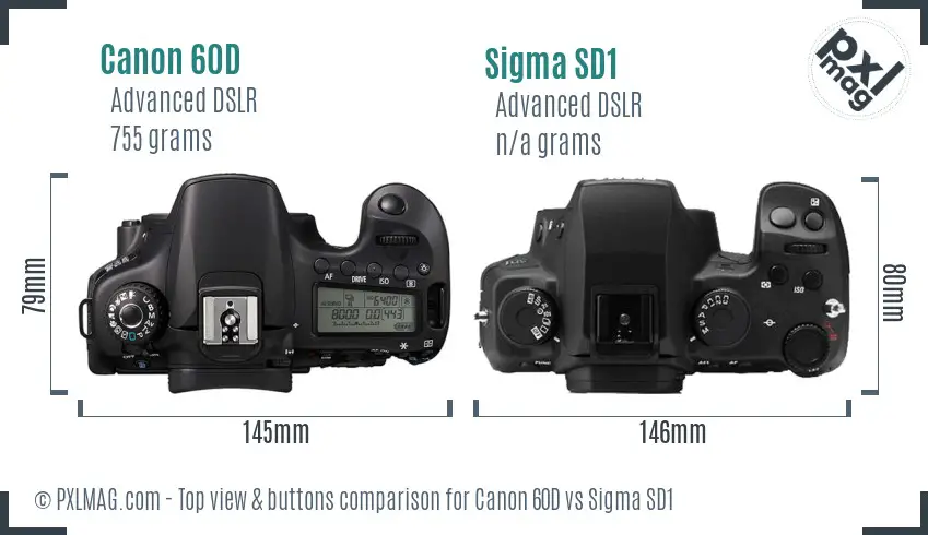 Canon 60D vs Sigma SD1 top view buttons comparison