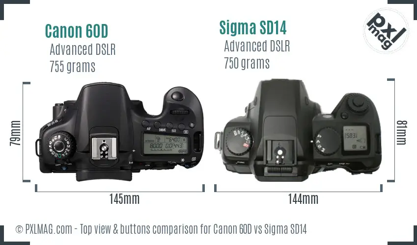 Canon 60D vs Sigma SD14 top view buttons comparison Canon 60D vs Sigma SD14 top view buttons comparison