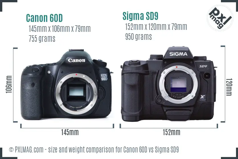 Canon 60D vs Sigma SD9 size comparison