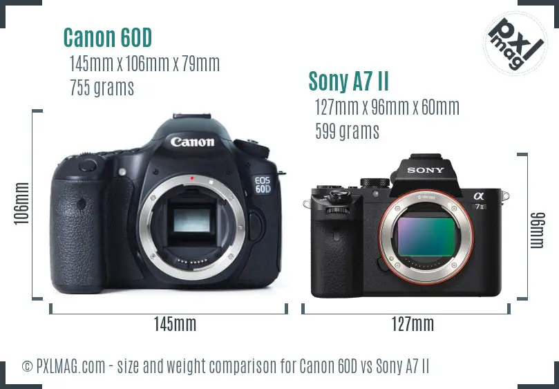 Canon 60D vs Sony A7 II size comparison Canon 60D vs Sony A7 II size comparison