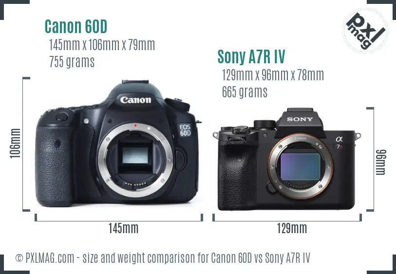 Canon 60D vs Sony A7R IV size comparison Canon 60D vs Sony A7R IV size comparison