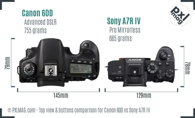 Canon 60D vs Sony A7R IV top view buttons comparison Canon 60D vs Sony A7R IV top view buttons comparison