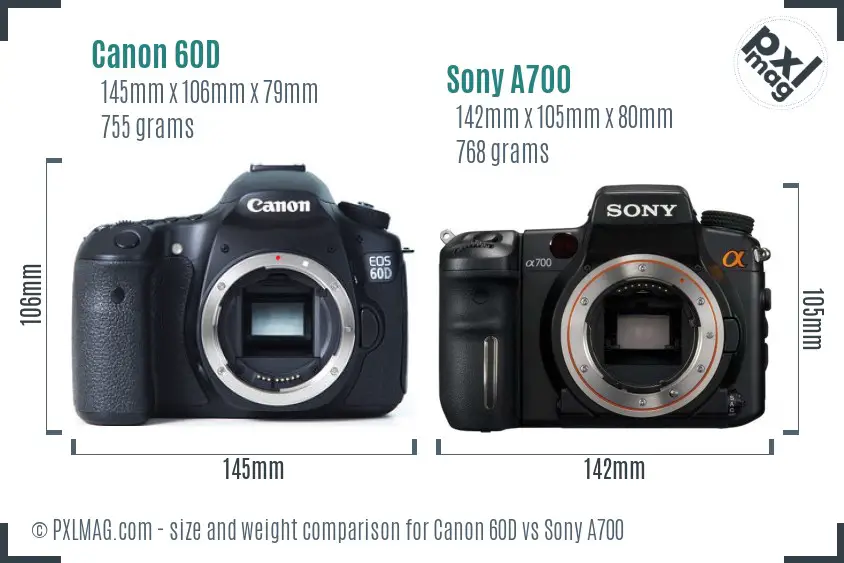 Canon 60D vs Sony A700 size comparison