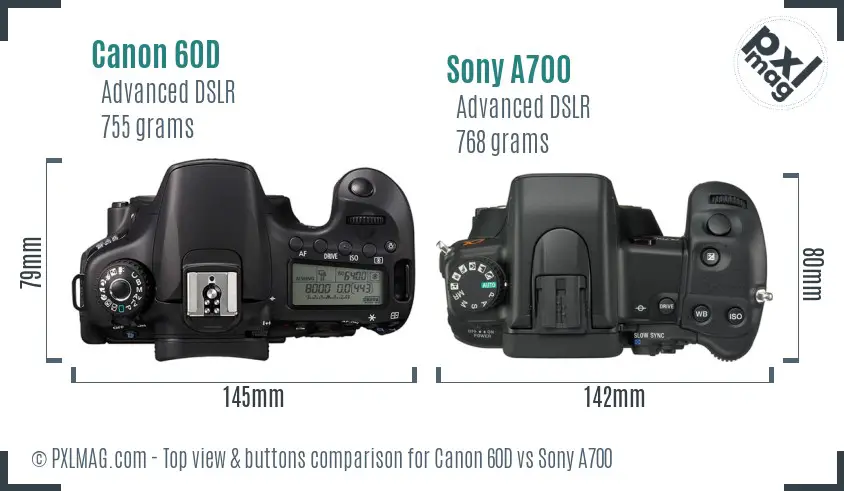 Canon 60D vs Sony A700 top view buttons comparison