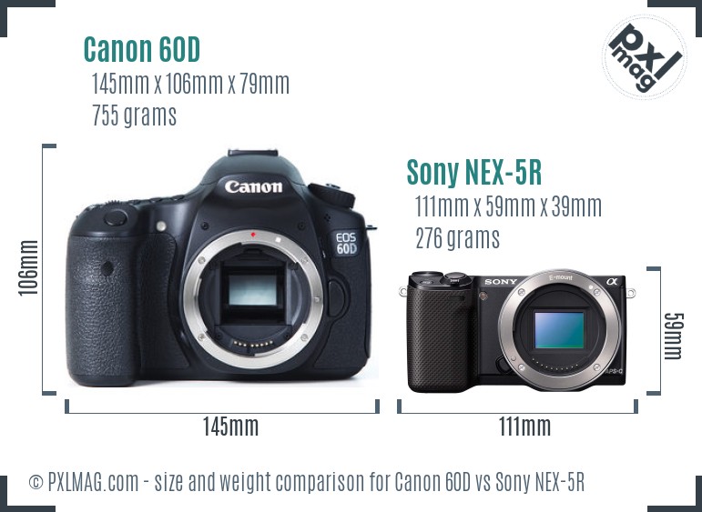 Canon 60D vs Sony NEX-5R size comparison