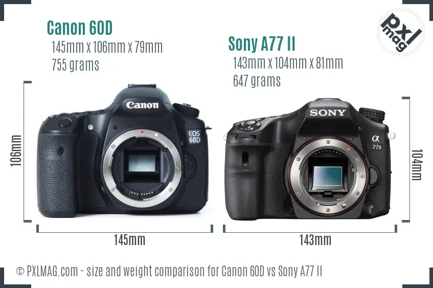 Canon 60D vs Sony A77 II size comparison