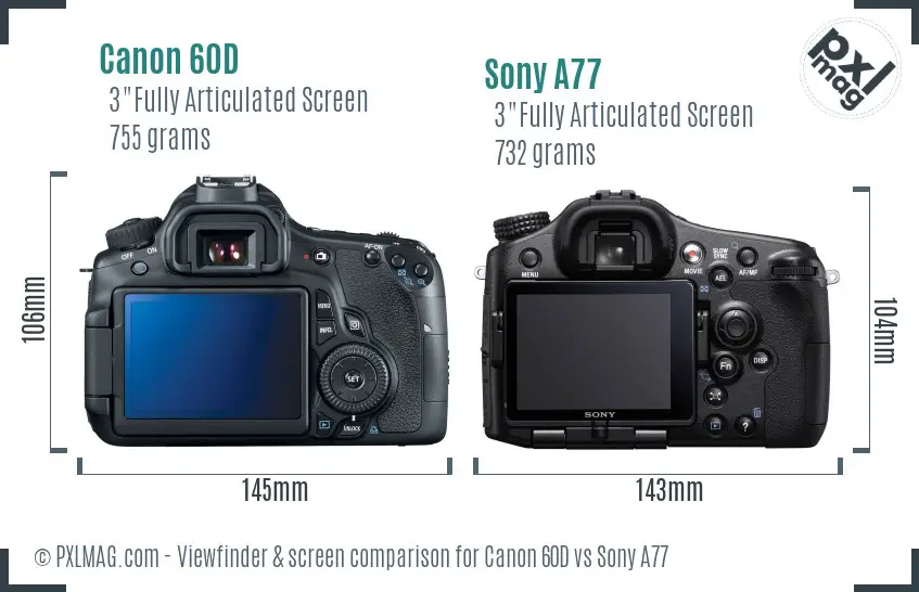 Canon 60D vs Sony A77 Screen and Viewfinder comparison