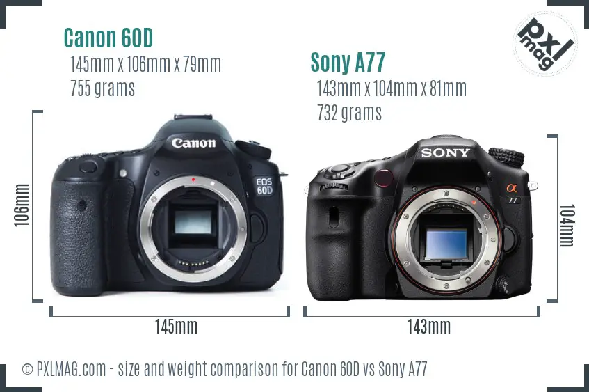 Canon 60D vs Sony A77 size comparison