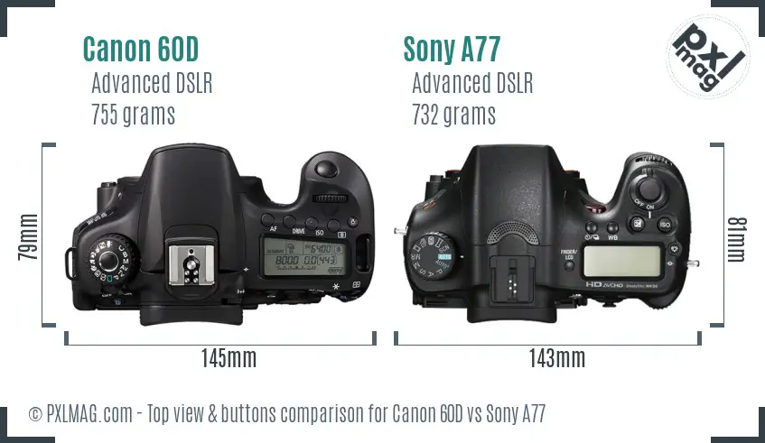Canon 60D vs Sony A77 top view buttons comparison