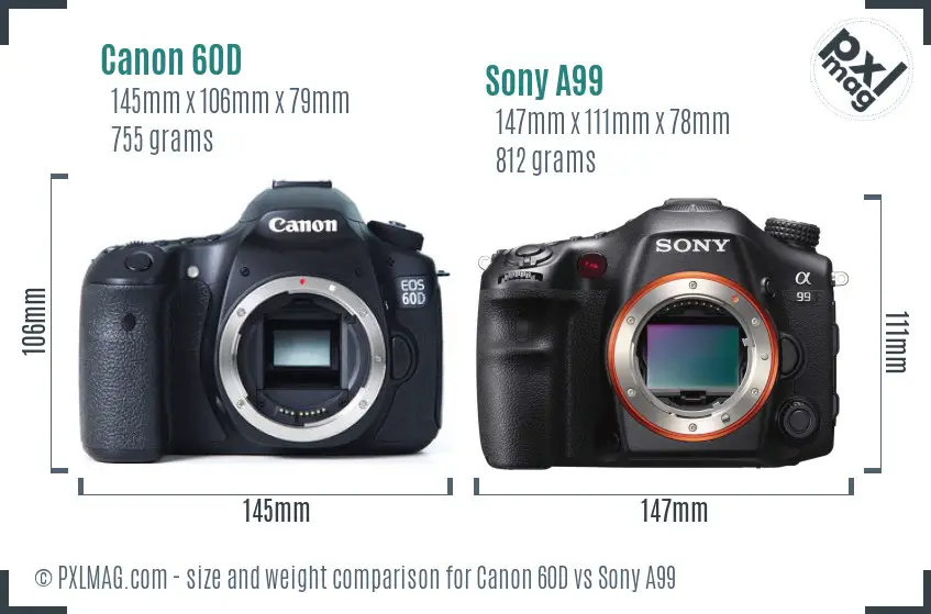 Canon 60D vs Sony A99 size comparison