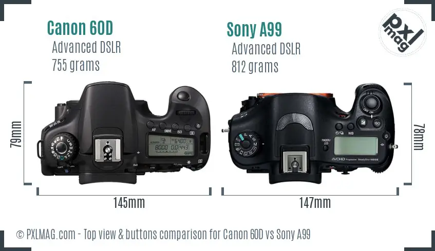 Canon 60D vs Sony A99 top view buttons comparison
