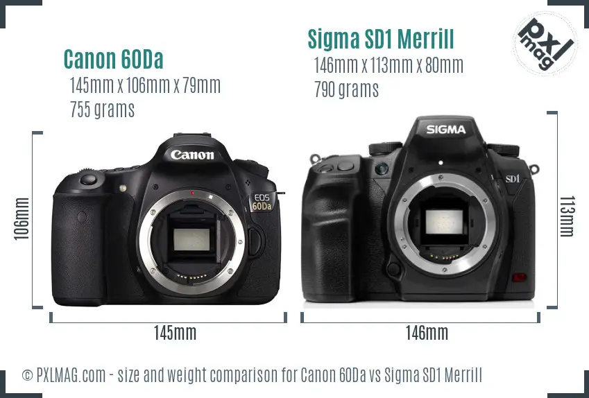 Canon 60Da vs Sigma SD1 Merrill size comparison