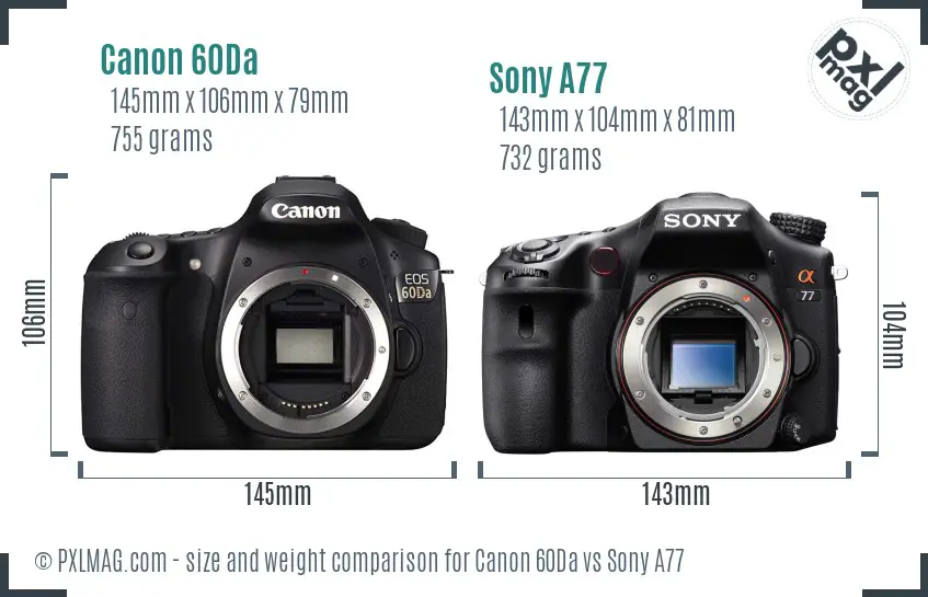 Canon 60Da vs Sony A77 size comparison
