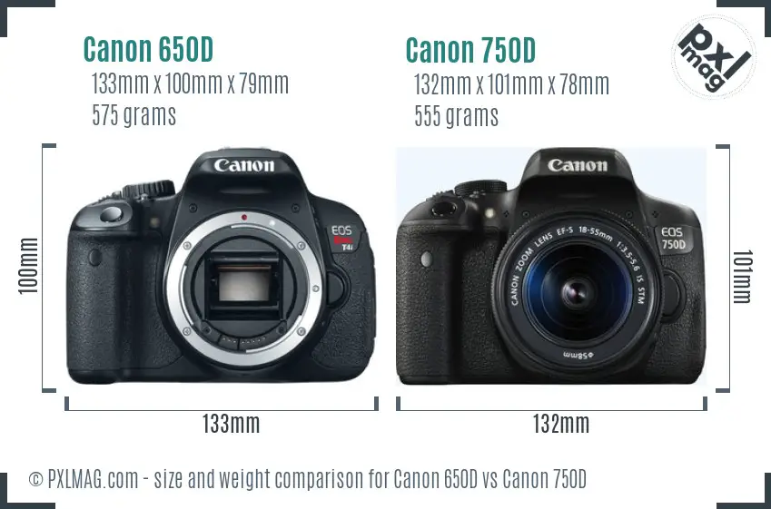 Canon 650D vs Canon 750D size comparison