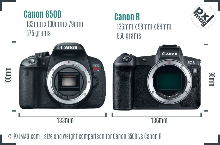Canon 650D vs Canon R size comparison