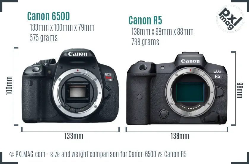 Canon 650D vs Canon R5 size comparison