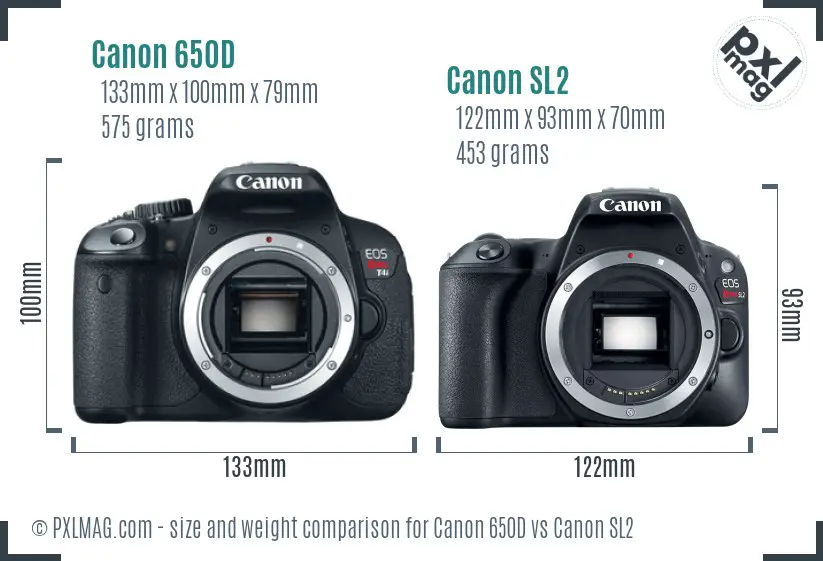 Canon 650D vs Canon SL2 size comparison