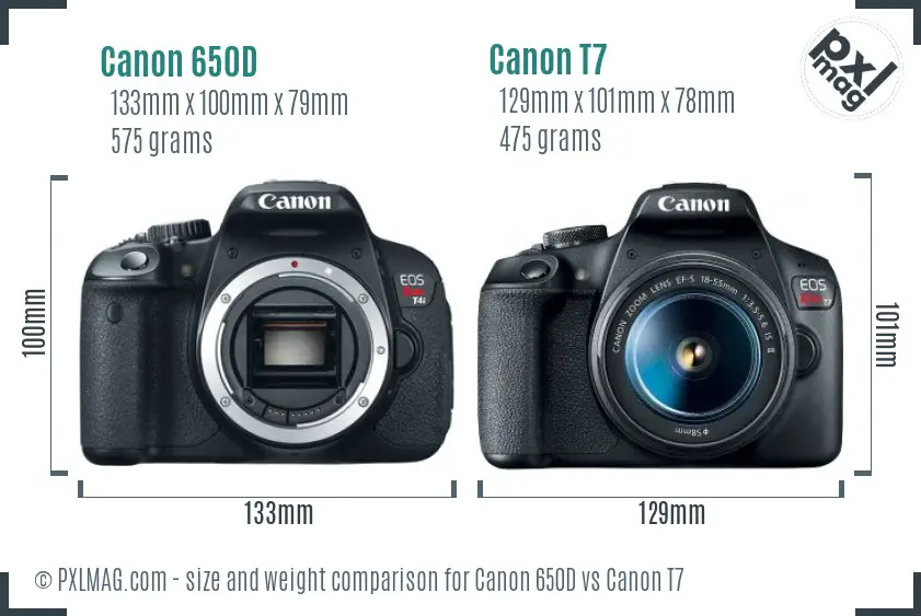 Canon 650D vs Canon T7 size comparison