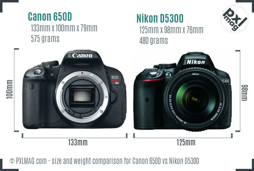 Canon 650D vs Nikon D5300 size comparison