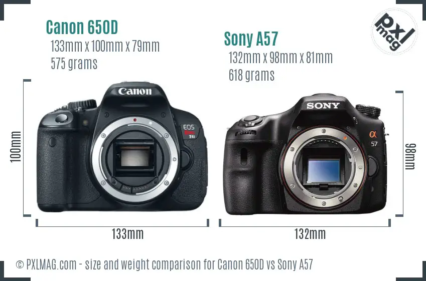 Canon 650D vs Sony A57 size comparison