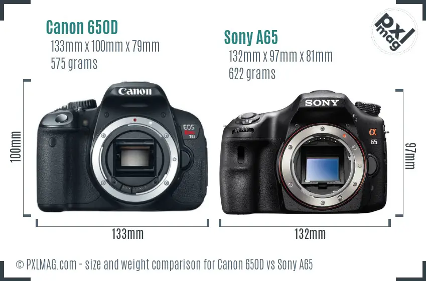 Canon 650D vs Sony A65 size comparison