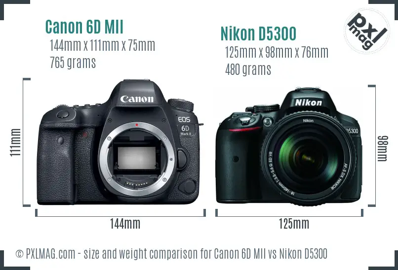 Canon 6D MII vs Nikon D5300 size comparison Canon 6D MII vs Nikon D5300 size comparison