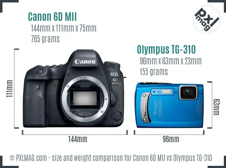 Canon 6D MII vs Olympus TG-310 size comparison