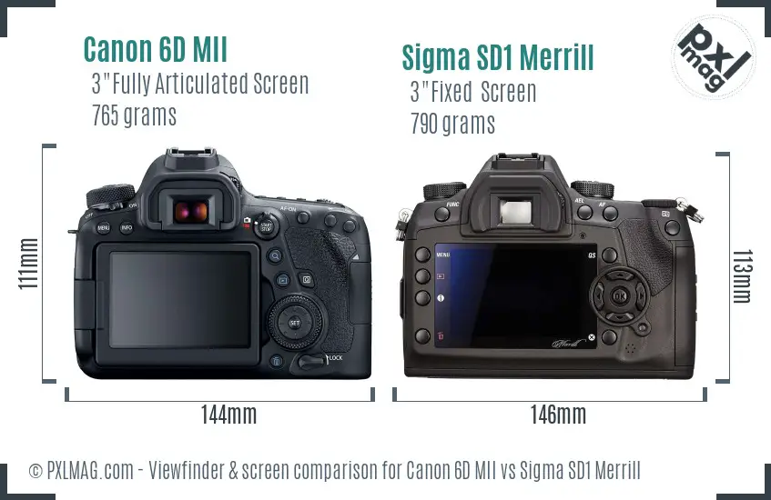 Canon 6D MII vs Sigma SD1 Merrill Screen and Viewfinder comparison