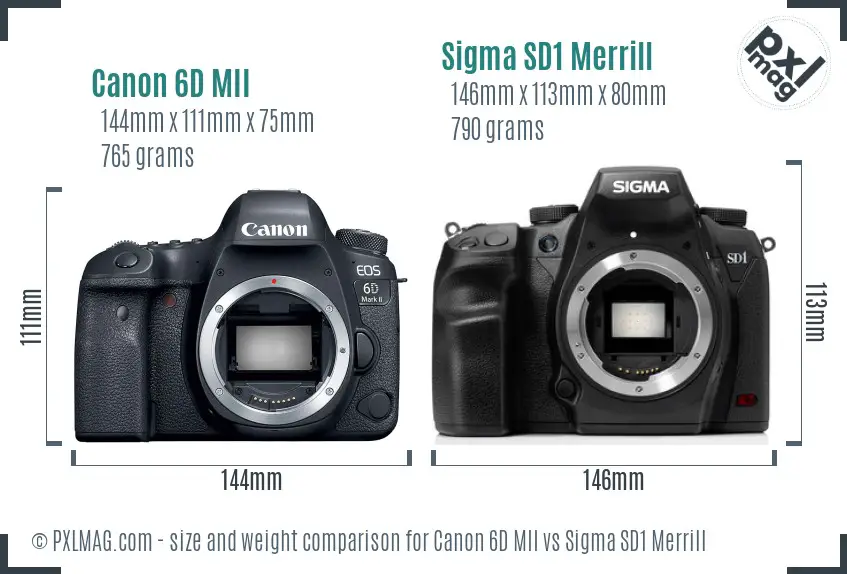 Canon 6D MII vs Sigma SD1 Merrill size comparison
