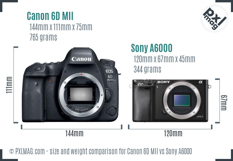 Canon 6D MII vs Sony A6000 size comparison