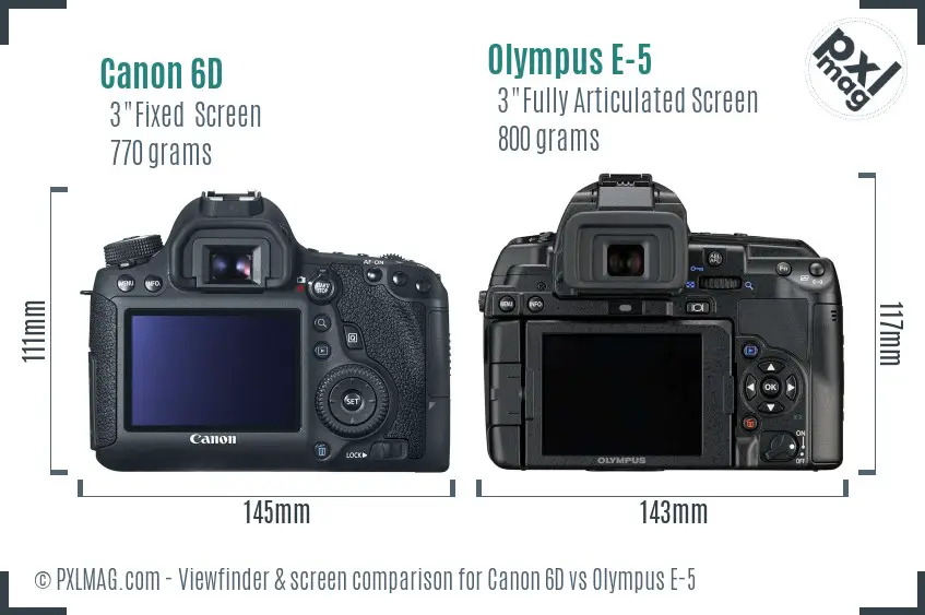 Canon 6D vs Olympus E-5 Screen and Viewfinder comparison