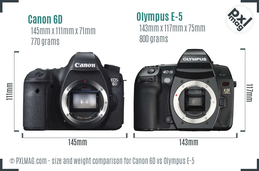 Canon 6D vs Olympus E-5 size comparison