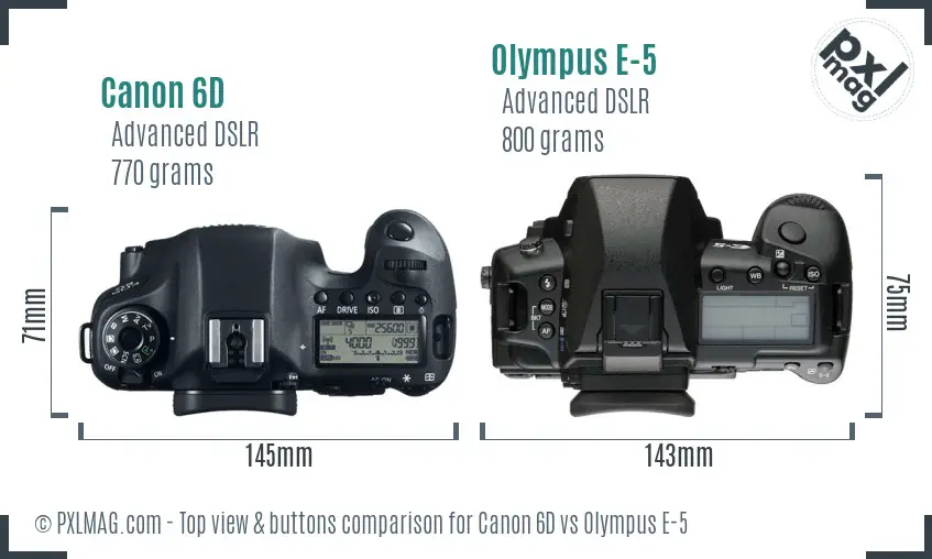 Canon 6D vs Olympus E-5 top view buttons comparison