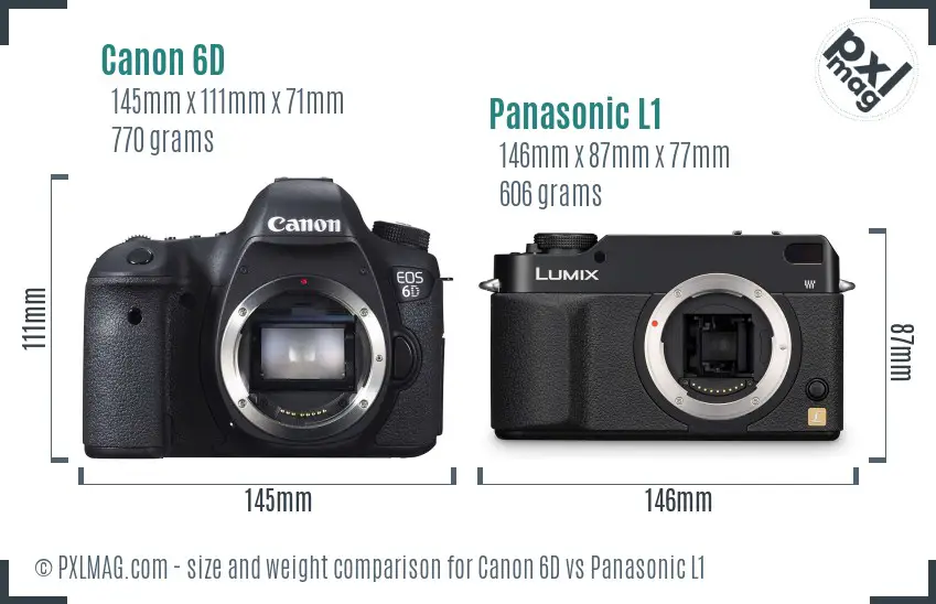 Canon 6D vs Panasonic L1 size comparison