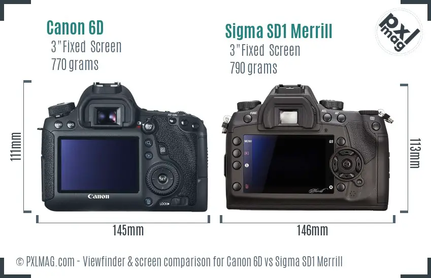 Canon 6D vs Sigma SD1 Merrill Screen and Viewfinder comparison