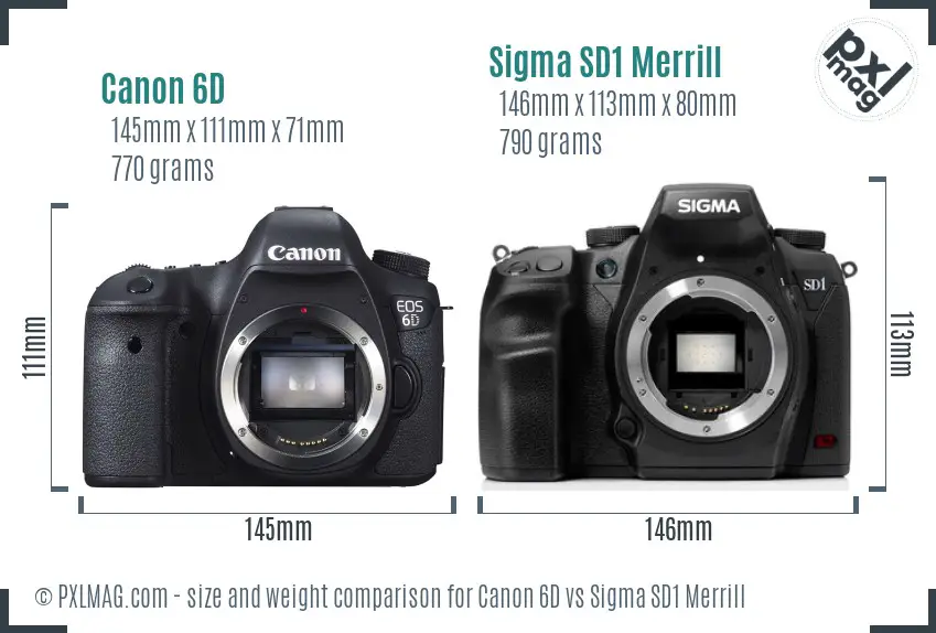 Canon 6D vs Sigma SD1 Merrill size comparison