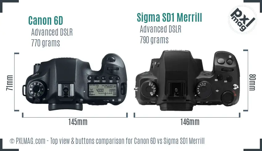 Canon 6D vs Sigma SD1 Merrill top view buttons comparison