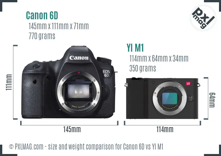 Canon 6D vs YI M1 size comparison