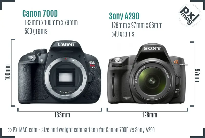 Canon 700D vs Sony A290 size comparison