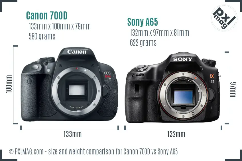 Canon 700D vs Sony A65 size comparison