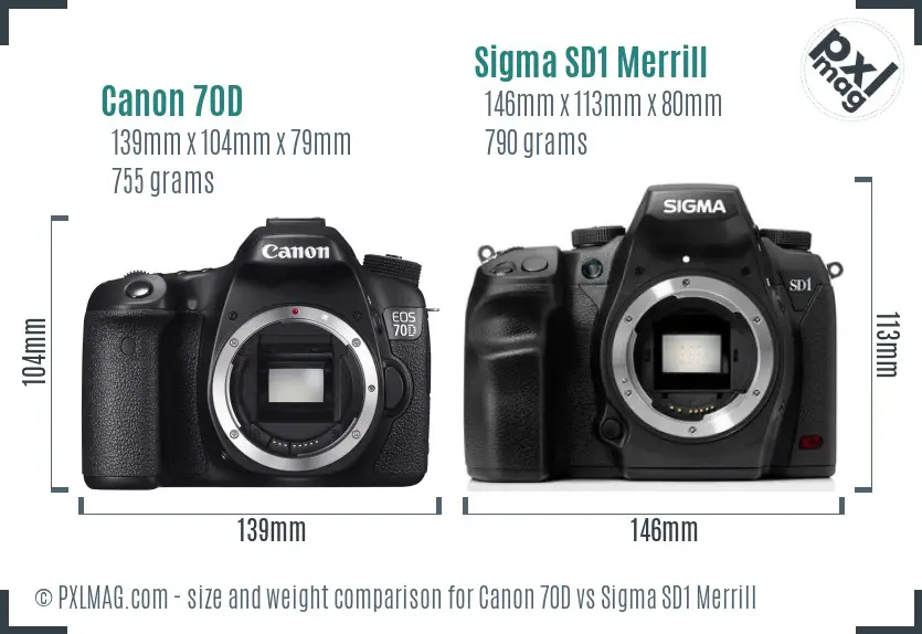 Canon 70D vs Sigma SD1 Merrill size comparison