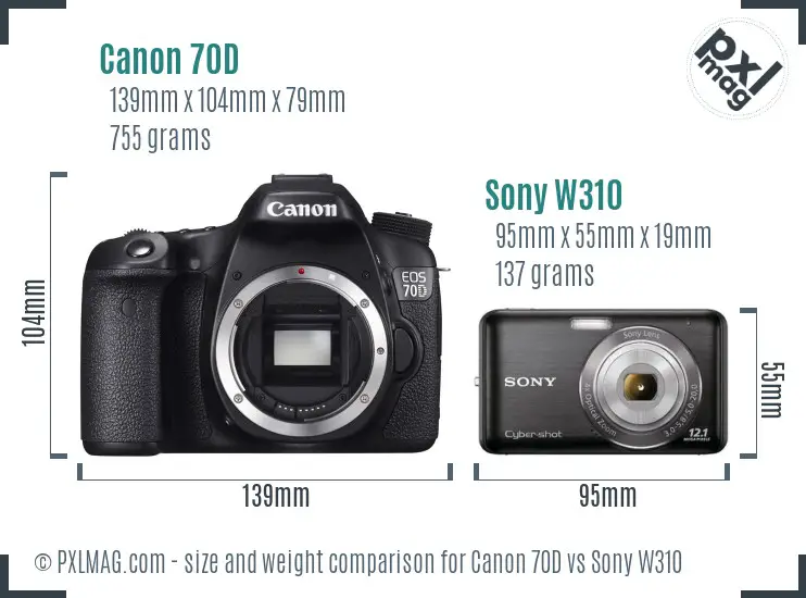 Canon 70D vs Sony W310 size comparison