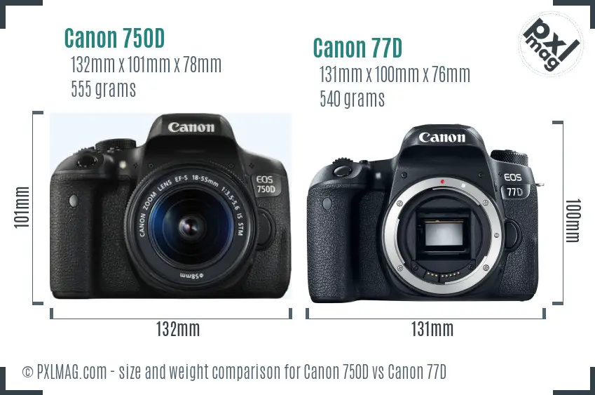 Canon 750D vs Canon 77D size comparison